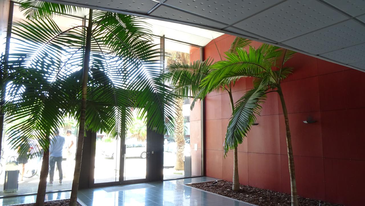 Bureau Montpellier 400m² Location bureau Montpellier Hérault OLBUR2313296 2